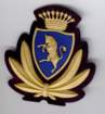 torino2_small.jpg